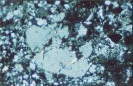2 mm (D-5, 2560 m depth) D24-8517 (D-24, 2596 m depth) Figure 5.14.Illite as replacement mineral. (A) Illite (il) replaces plagioclase and is associated with anhydrite (an). Cross polars.