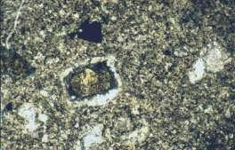 intergrowth with leucoxene (le). Plagioclase (pl) phenocryst is altered to chlorite (ch).