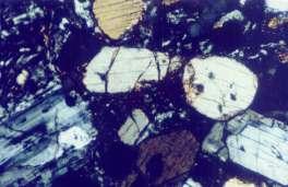 Chapter 5. HYDROTHERMAL ALTERATION OF THE MATRIX Anhydrite is also a common hydrothermal mineral in Darajat. It replaces plagioclase (Figure 5.