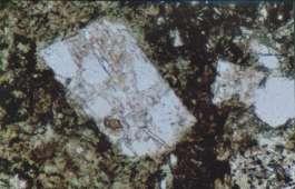 (B) Cross polars view of (A). (C) Adularia (ad) is present with calcite (ca) along cracks of plagioclase. It is also associated with epidote (ep). Plane polars. (D) Cross polars of (C).