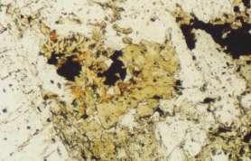 24) is rare. It replaces plagioclase and pyroxene along cracks and on crystal surfaces in about 500 m in production well DRJ 17 and +150 m in DRJ 13.