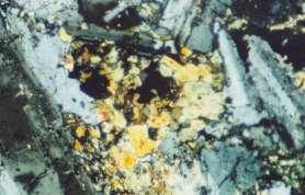 Biotite is mostly associated with illite and amphiboles.
