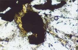 Figure 5.25 shows that they can be easily distinguished from pyrite and other opaque minerals by using back scattered X-ray image.