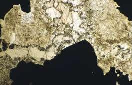 (E) Chalcedonic quartz (qz) predates calcite (ca) and anhydrite (an), coating spheres. Cross polars.