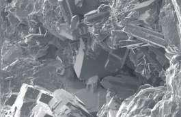 (C) Laumontite under scanning electron microscope is mostly radiating and broken, but can also be euhedral (arrows).