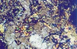 vein. The coloured, high birefringence mineral with a good cleavage in the matrix is actinolite (ac).