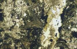 (E) Euhedral garnet (ga) is present in the margin of a vein indicating its early deposition, i.e. before epidote (ep).