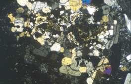 crystal of augite (au). Note flow texture of andesite lava.