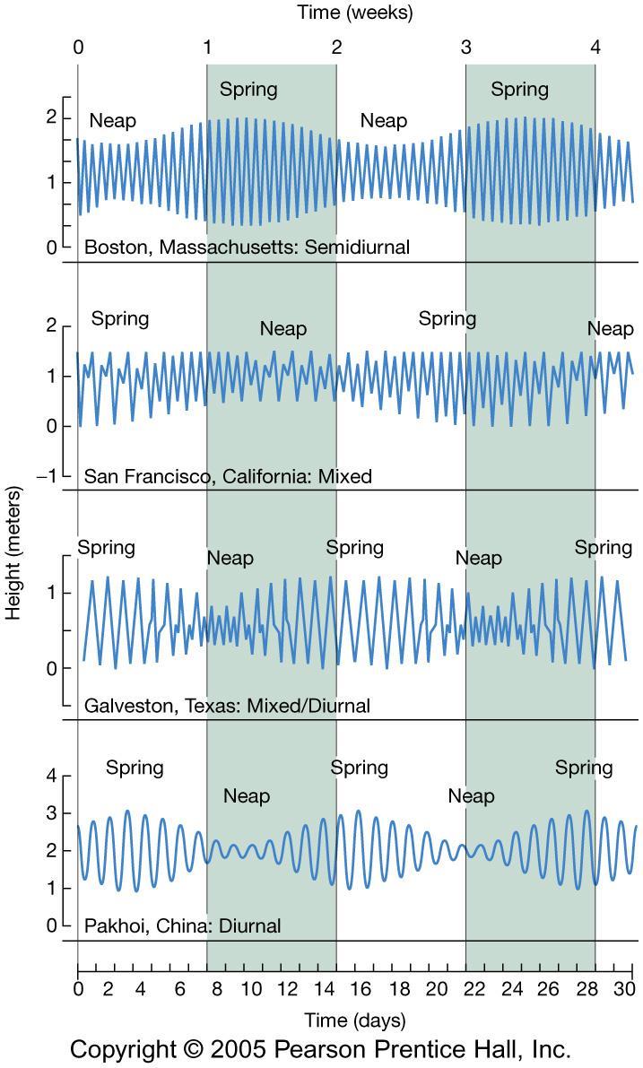 Monthly tidal curves During a month there are two spring tides and two neap tides at all locations.