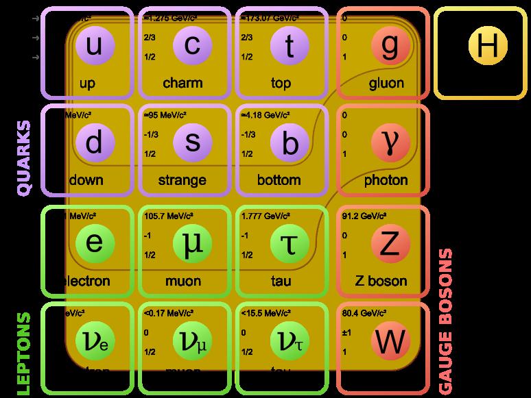 gauge bosons) are well known and established in the Standard Model: gluons carry the strong, W - and Z-bosons the weak, and photons are the messengers of the electromagnetic force.