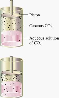 Effect of Pressures on Gas Solubility Copyright Houghton Mifflin