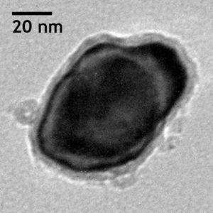 TEM Images of Nanoparticles after