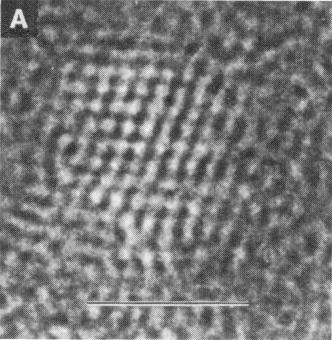 Melting Temperature of Nanopartcles 3D CdS nanocrystal 30