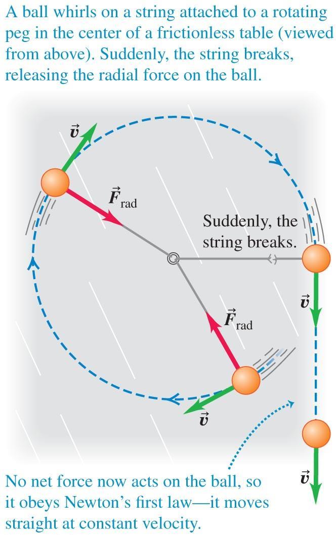 6.1 Force in Circular Motion With a centripetal force provided by a string, the object moves along a circular orbit Question: How can an object of mass m maintain its centripetal acceleration?