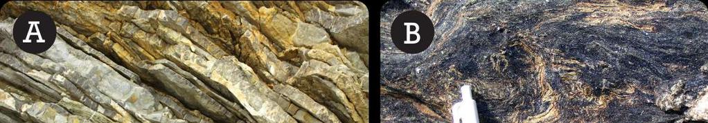 / 159 % accuracy WCPM REGIONAL METAMORPHISM Regional metamorphic rocks happens when rocks get buried under other rocks.