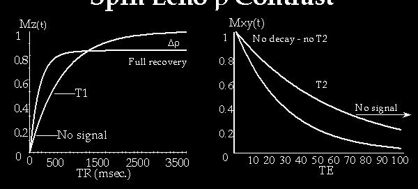 Spin Echo Sequence S GRE TR TE M 0 sin α 1 exp exp T 1 T = 2 Proton Density weighting T1 weighting T2 weighting ( TR >>T1,