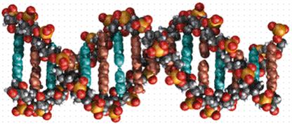 Bioinformatics I CPBS 7711 October 29, 2015 Protein
