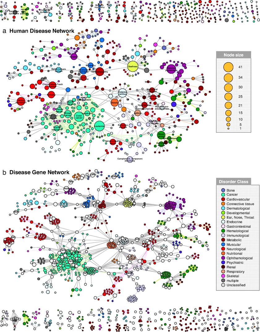 Disease Gene Networks Nodes: Genes Edges:
