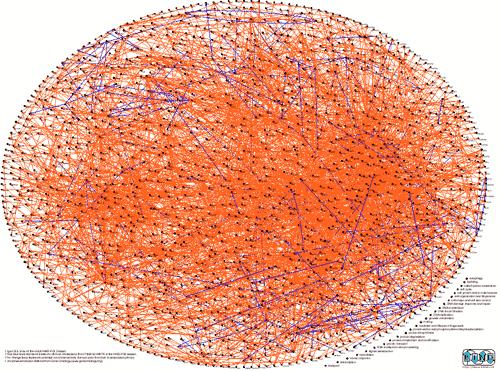 Protein-Protein Interaction Network Image from