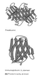 Tertiary Structure of Proteins Tertiary structure results from the folding of