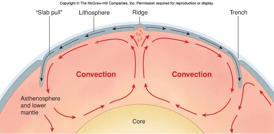 Convection currents beneath the plates assist movement Heat from the mantle drives these currents Figure 02_15 Evidence for Plate Tectonics Mid-Oceanic Ridges The mid-oceanic ridges rise from ocean