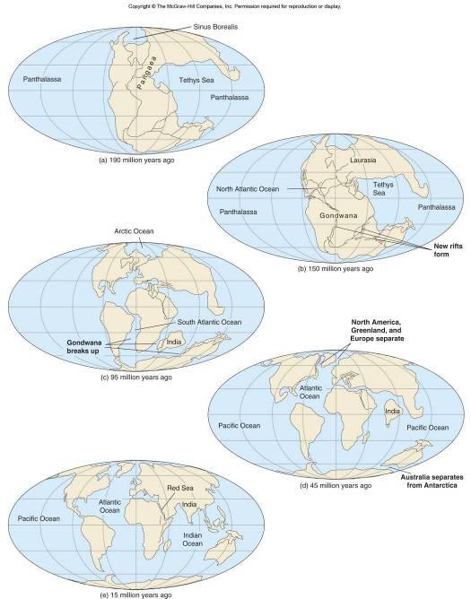 History Also around 180 million years ago, a rift began to split up Gondwana and the early Indian Ocean began to form About 135 million