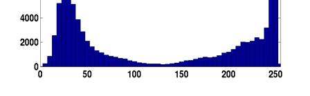 and small variations Normalized histogram is invariant to scale