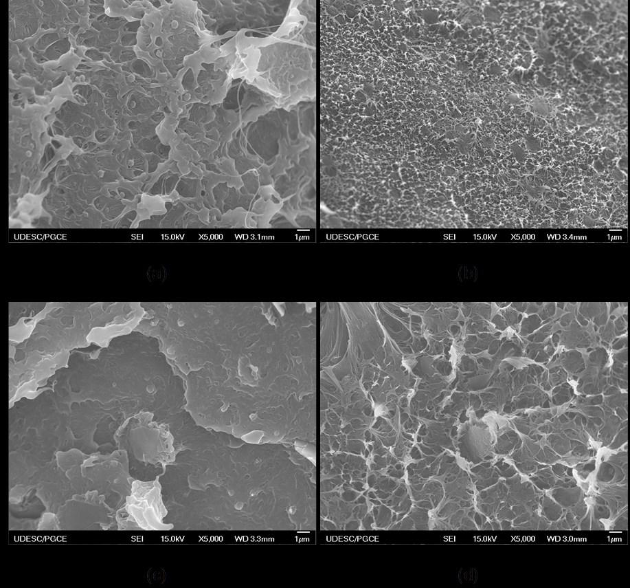 Figure 1: FEG micrographs of (a)n05s, (b) N05F, (c) G05S, (d) G05F nanocomposites.