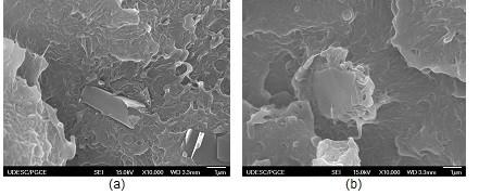 microscopy images of nanocomposites with 0.5 wt% of carbon nanotubes or 0.5 wt% graphene. It is possible to observe carbon nanotubes agglomerates in N05S (Figure 3(b)).