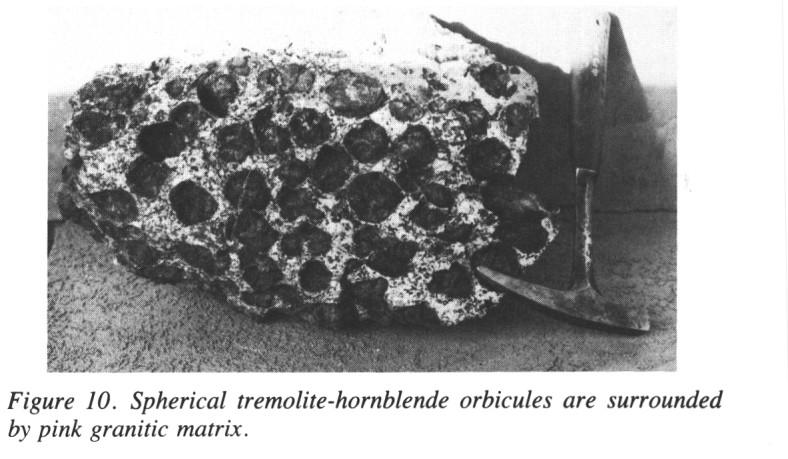 ORBICULAR ROCK 231 out the orbicules (Table 4). The tremolite-hornblende shells are discontinuous and wrap around a central point in a helical pattern.