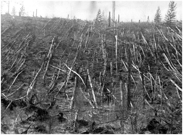 details Huge explosion over Siberia on 30 June 1908 Explosion heard ~ 1,000 km away Trees stripped & blown down 25 km in all directions One person knocked off a porch ~ 60 km away No crater at all
