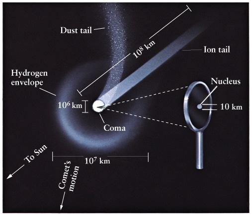 The Structure of a Comet Center Nucleus Diameter of ~ 10 1 km The only solid part of a comet Coma Diameter of ~ 10 6 km Highly visible fog cloud centered on the