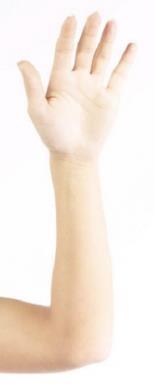 Results Forearm skin anisotropy measurement Volunteer: man, 69 years, skin thickness 2.4 mm 1700 10 Meas. a Meas. b Meas.