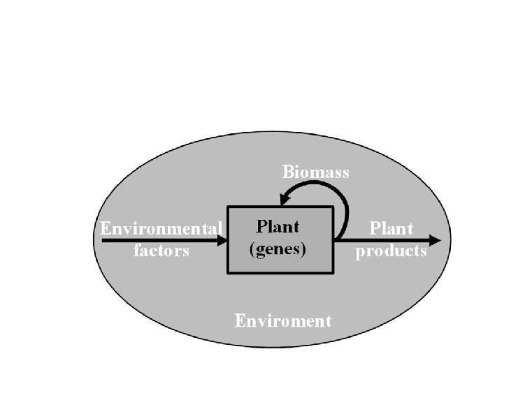 The growth machinery is, of course, under the control of genetic program expressed through the synthesis of protein that is used as metabolic substrate or as enzymic component controlling metabolic