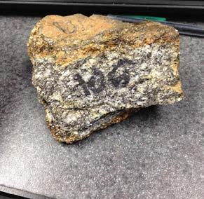Tallulah Falls schist: variable unit with dominant minerals muscovite, biotite, sillimanite, and garnet