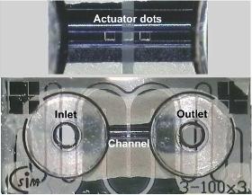 Application in microfluidics valve in microfluidics