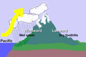 Windward: Wet Leeward: Dry Cools and condenses at