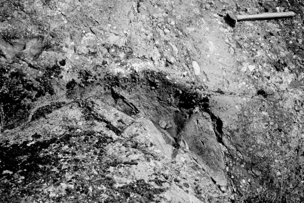 The older granitoids (unit 3a) at southeastern Cochrane Bay include two distinct lithologies.