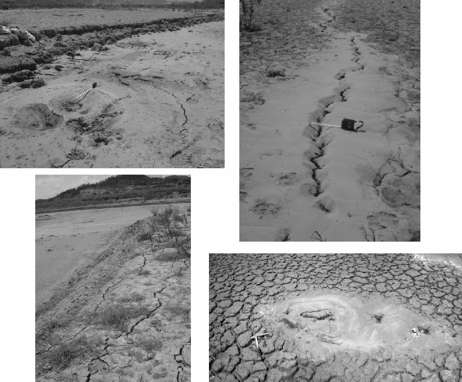 mud boils with diameter up to 85cm and 3 smaller ones with diameter up to 70cm each, vent fractures with length more than 5 meters and width up to 15 cm and sand volcanoes with diameter up to 17 cm