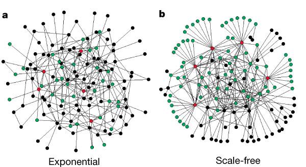 The Spreading of Epidemics in Complex Networks 5 Figure 1: Exponential and Scale-free networks, cited from[5]. Both contain 130 nodes and 215 links ( k = 3.3).