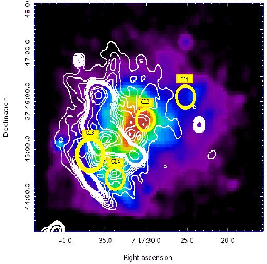 2013). The morphology of this source is very similar to the X ray emission of the cluster, which is related to the thermal intra-cluster component (Fig. 1 Bottom Panel).