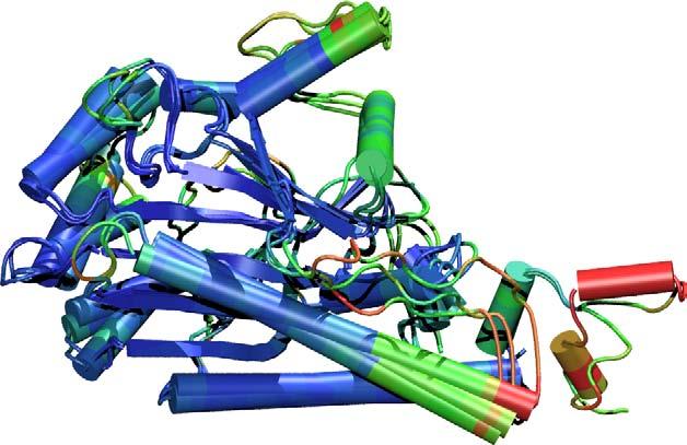 Horizontal Gene Transfer in Protein