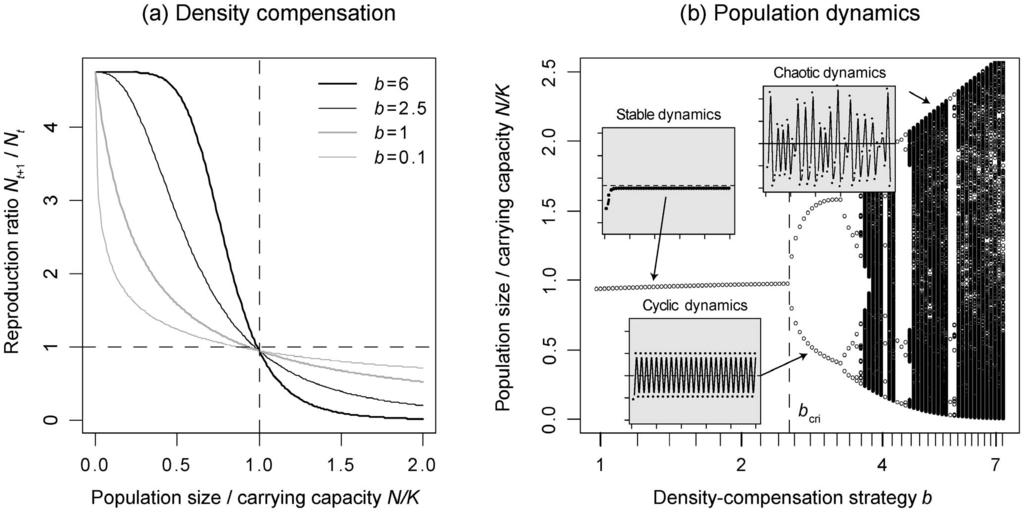 Figure 1. Effect of the density-compensation strategy b on the population dynamics of a single species described by the Maynard Smith and Slatkin model.