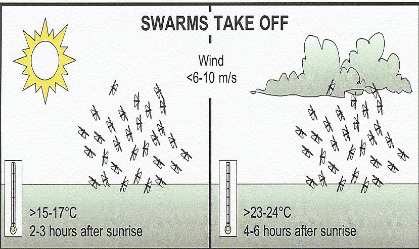 Take off of swarms depends