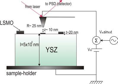 5. Advanced local characterization of LSMO nanoislands: PEEM and KPFM Fig. 5.31: Schematic diagram of the experimental set-up for the KPFM measurement of LSMO on YSZ nanostructured system.