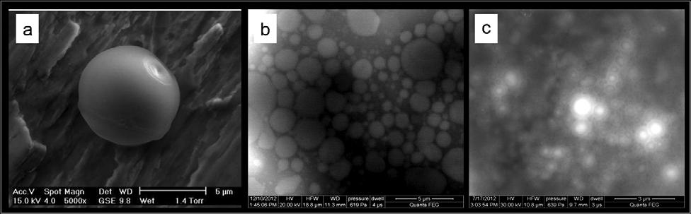 SEM analysis, it is possible to study emulsions, solid lipid nanoparticles (SLN) and nanostructured lipid carriers (NLC).