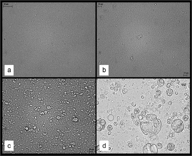 Fig. 2. Light microscopy; images of parenteral dispersed systems containing phospholipids: a) submicron emulsion, b) SLN dispersion, c) liposomes and d) WLD formulation. Bar 10 μm.