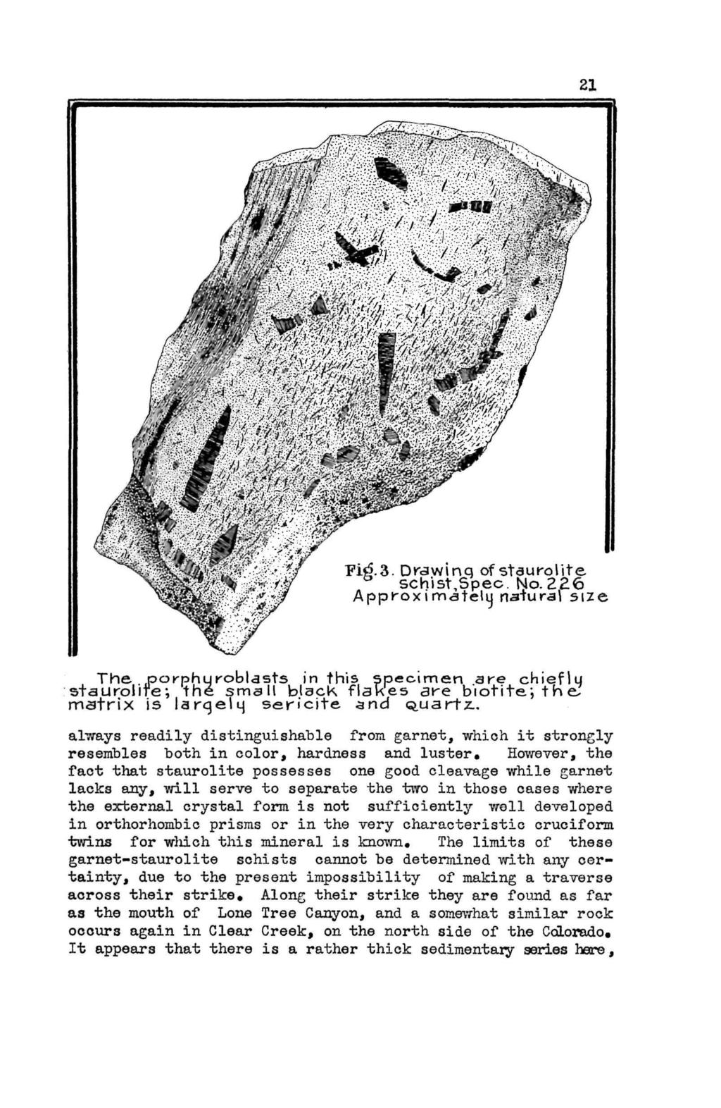21 Fi^.3. Drawinq of staurolite b schist,spec. No. 226 Approximately natural size The porphuroblasts in this specimen are chieflu staurolite; the small black flakes are biotite.
