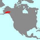 xalaskanum, is found in southern Alaska, Aleutian Islands and Russia. Awards: none; Offspring: guttatum (2), yatabanum (5); no awards.