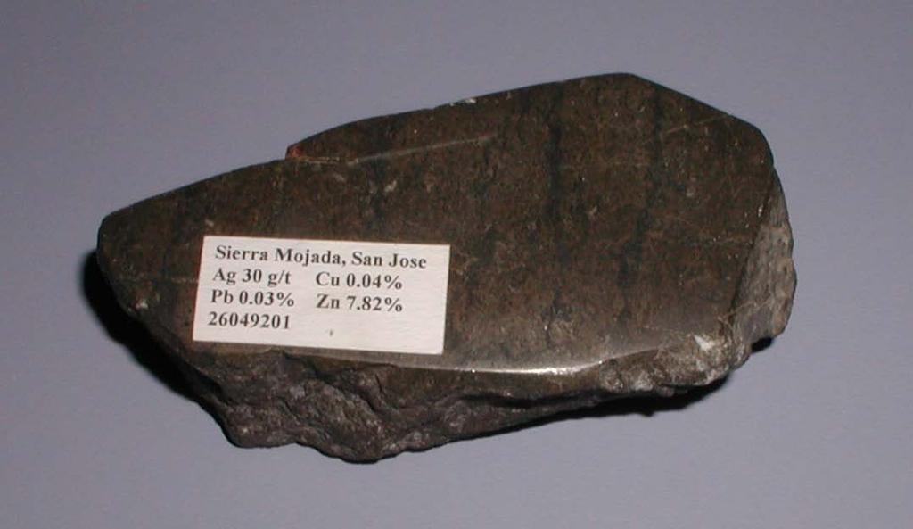 Fossiliferous Limestone San Jose Mine Copper